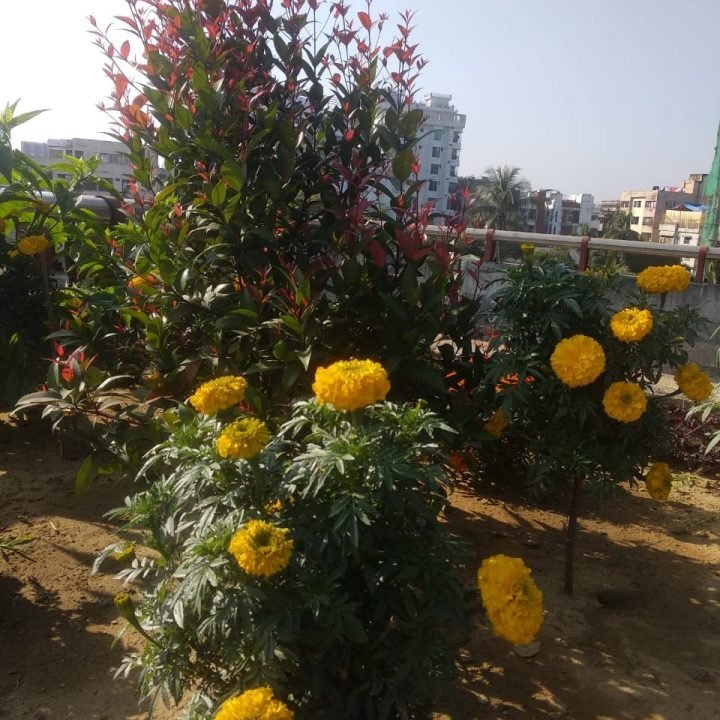 WhatsApp Image 2022-06-28 at 12.54.56 PM